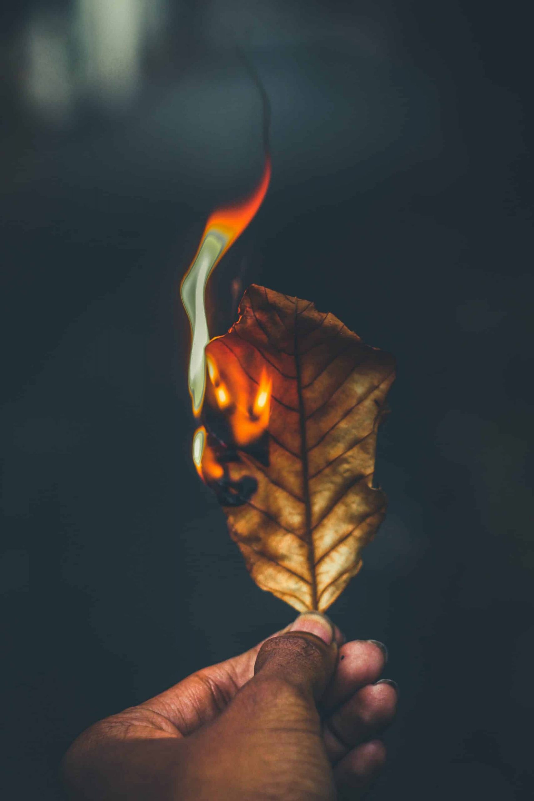 Burn out